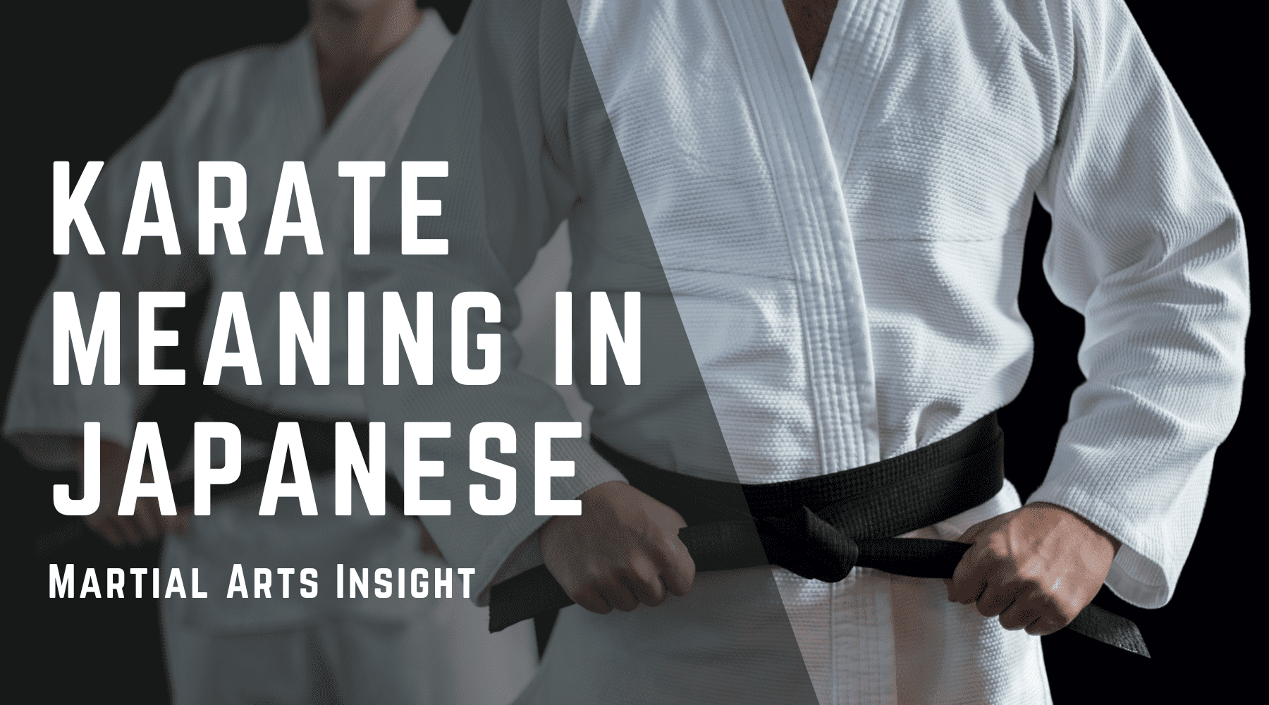 Karate Meaning in Japanese - Martial Arts Insight – Japan Treasure